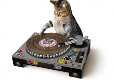 DJ Cat Scratch