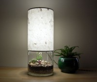 Terrarium Table Lamp