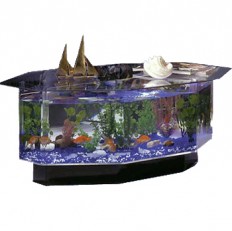 Aquarium Coffee Table