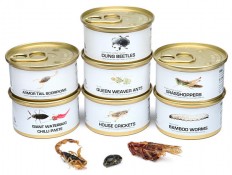 Edible Bugs Gift Pack