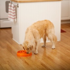 slow feed dog bowl