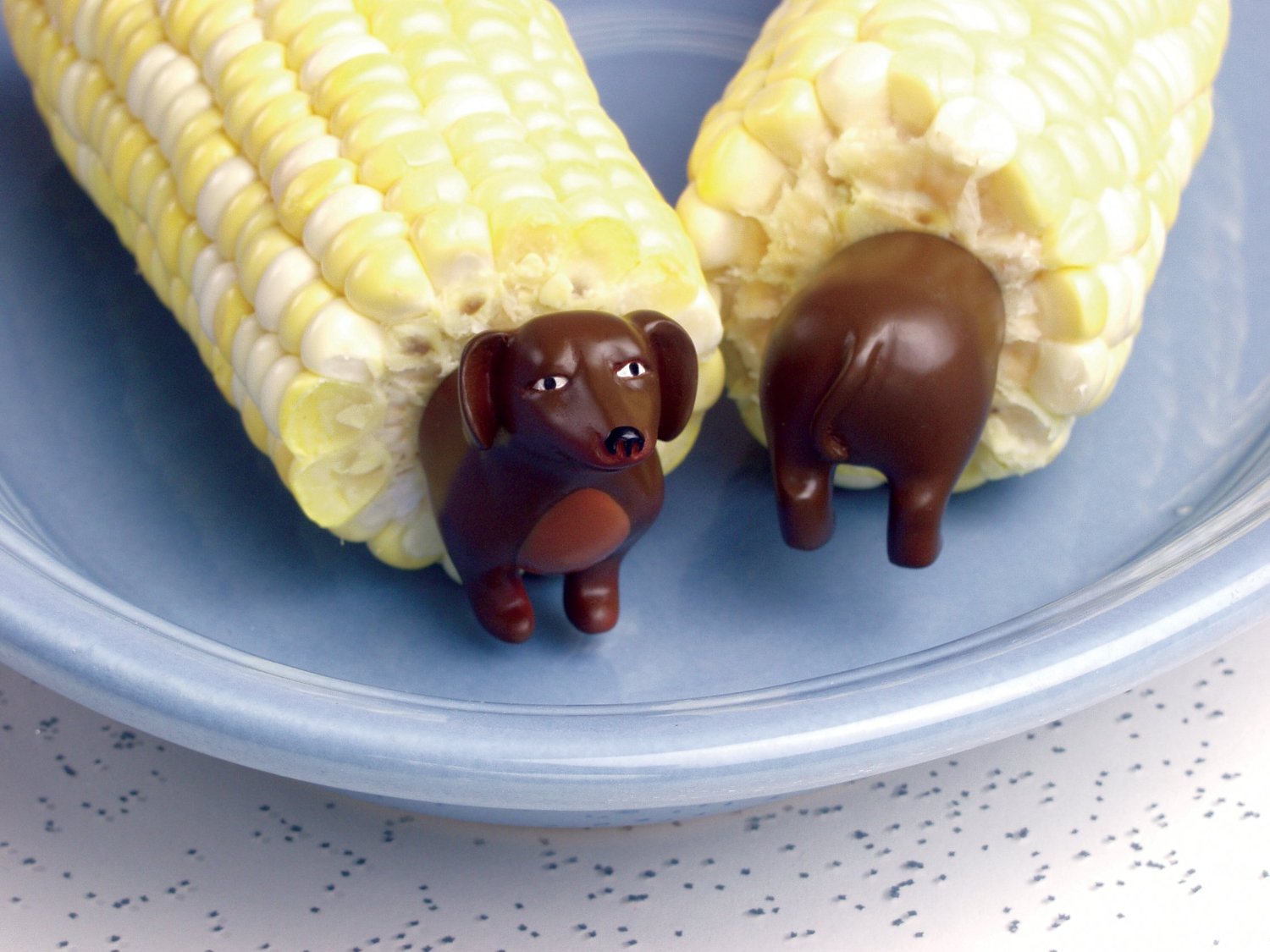 daushund corn holders